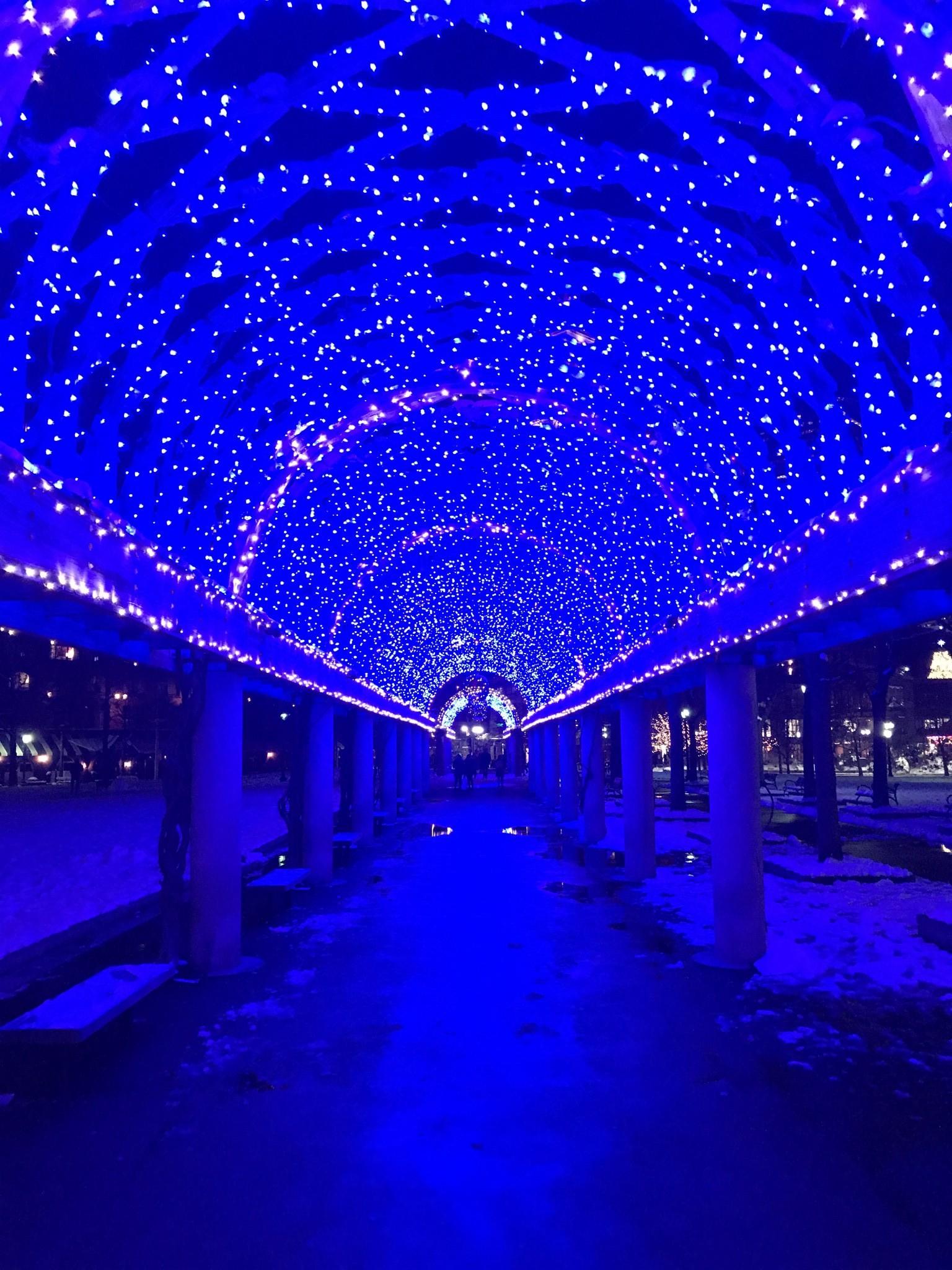 Where to See Holiday Lights in Boston The ALyst A Bostonbased