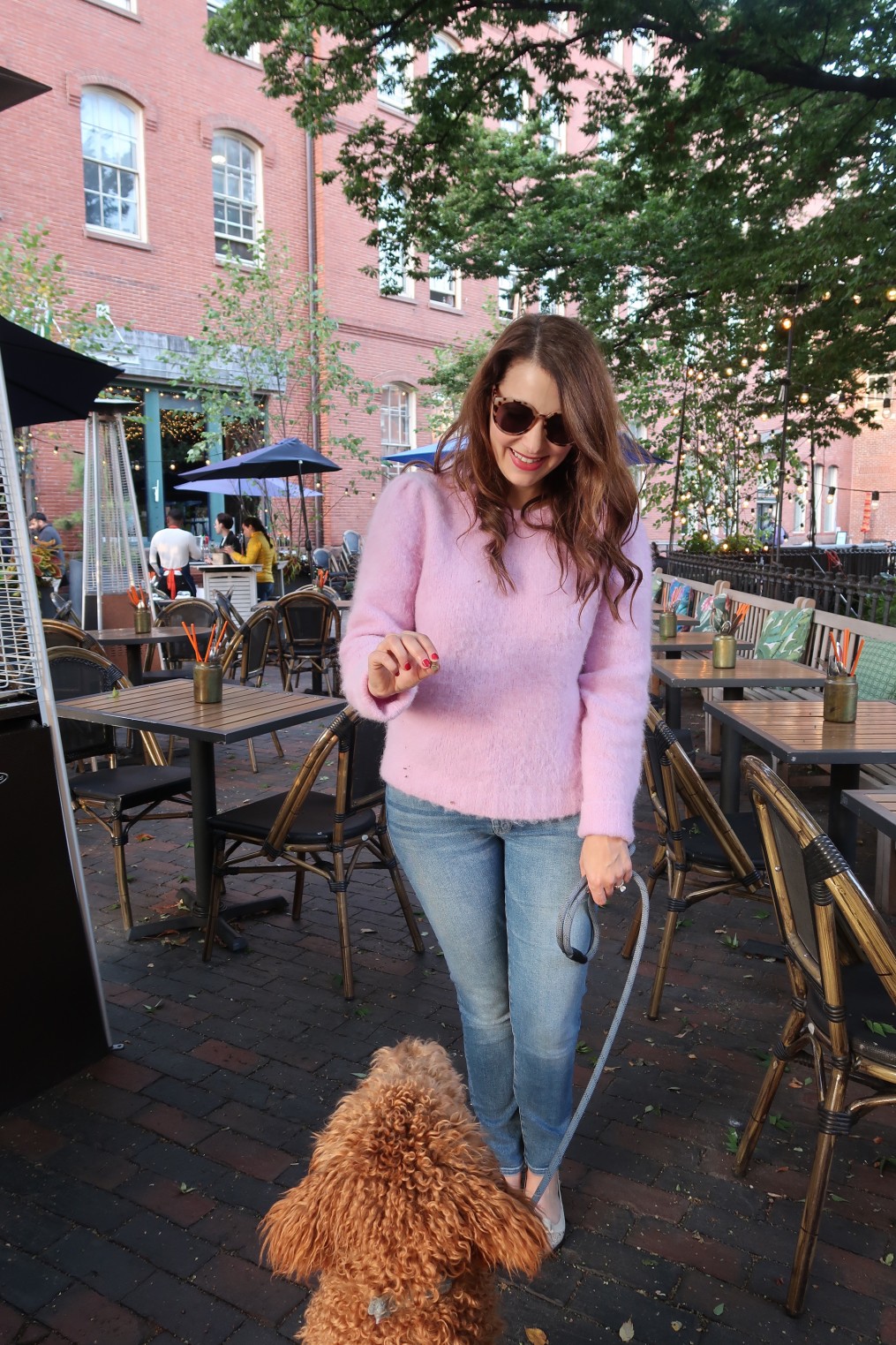 dog-friendly-restaurants-in-boston-the-a-lyst-a-boston-based