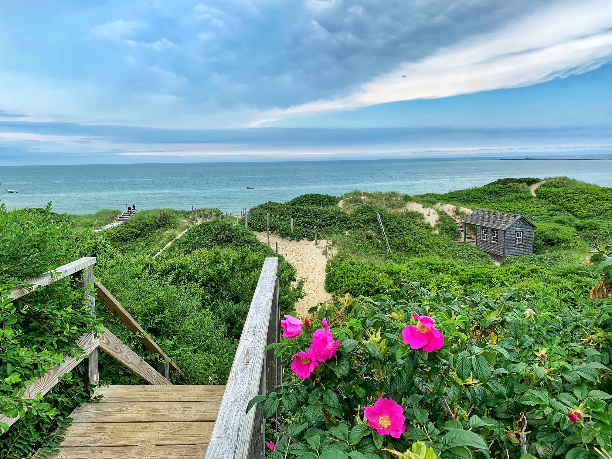 What To Do See And Eat On Nantucket The A Lyst A Boston Based Lifestyle Blog By Alyssa Stevens 
