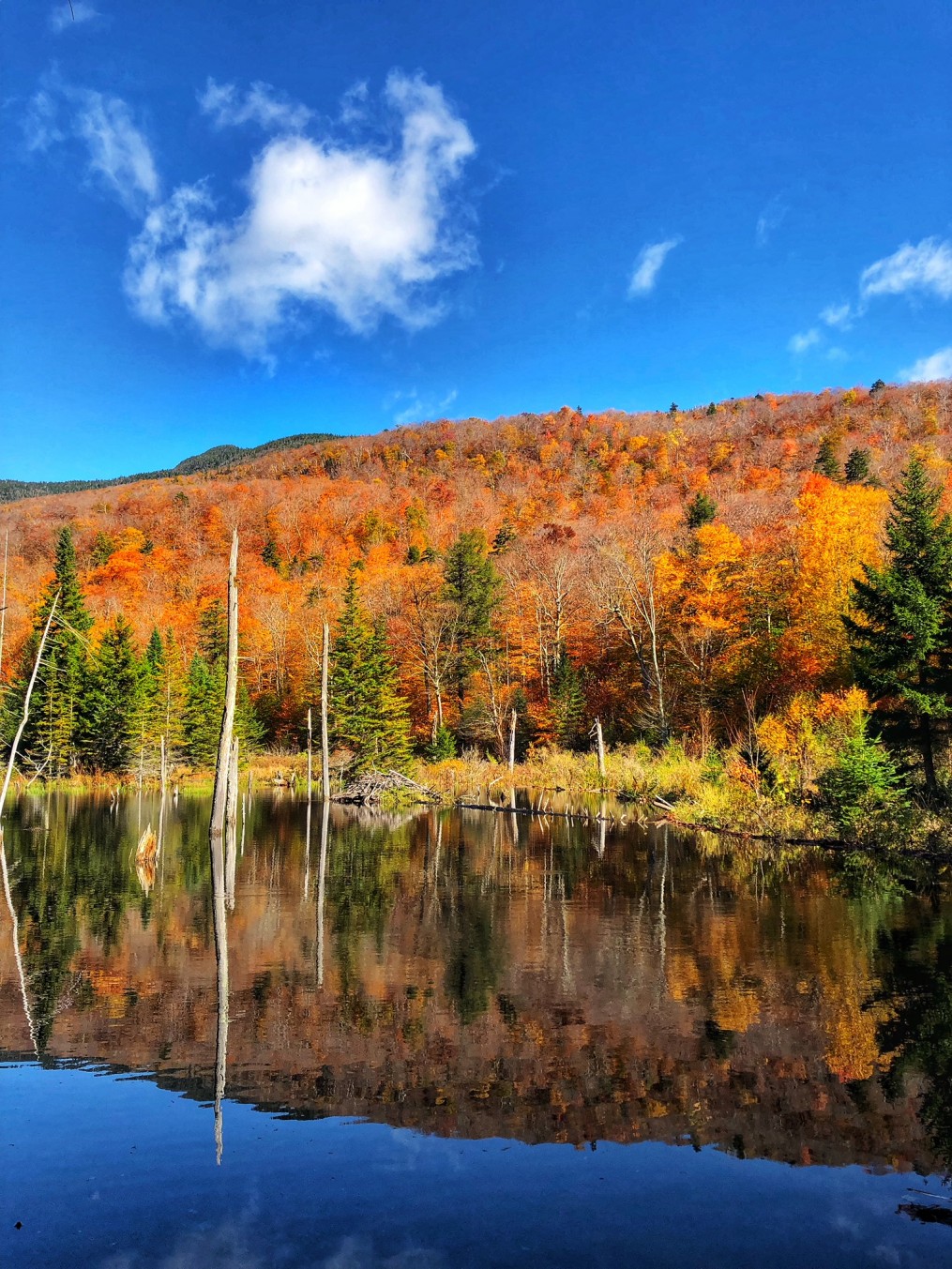 Travel Spotlight: Leaf-Peeping in Stowe, Vermont - The A-Lyst: A Boston ...